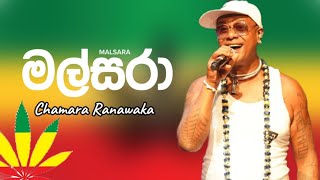 Malsara  මල්සරා  Chamara Ramawaka  New Reggae Song 2023 [upl. by Onidranreb]