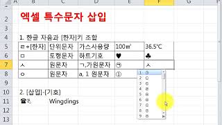 엑셀활용팁엑셀에서 특수문자 삽입 [upl. by Ceporah]