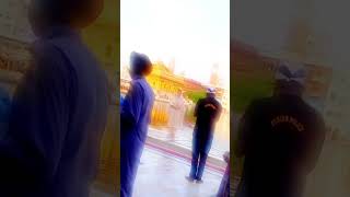 Amritsar wal jande rahio 🙏gurunanaksatsangmandalpatiala darbarsahib wahegurublessings live [upl. by Nonnek710]