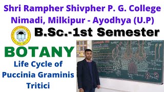 BSc1st Semester  BOTANY  LIFE CYCLE OF PUCCINIA GRAMINIS TRITICI [upl. by Brothers]