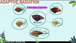 Topic 5 1 Evidence of Evolution [upl. by Flem]