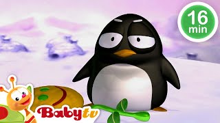 Speel samen met Pim en Pimba de pinguïns 🐧 🐧  Tekenfilm voor kinderen 🤪  BabyTVNL [upl. by Mendy]