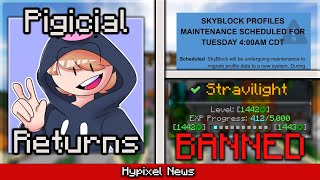 Pigicial RETURNS Skyblock Update 1440 Bedwars Star BANNED  Hypixel News [upl. by Ellatnahc]