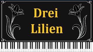 Drei Lilien  Piano [upl. by Enirbas17]