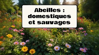 Abeilles domestiques et sauvages [upl. by Ime]