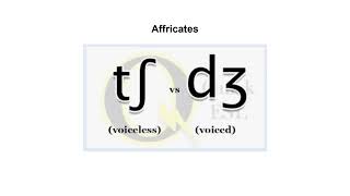 Ch 6 SupplementaryMaterial  Affricates and Fricatives [upl. by Saint]