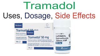 Tramadol Uses Side Effects and Dosage [upl. by Rosette858]