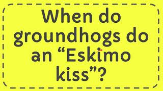 When do groundhogs do an “Eskimo kiss” [upl. by Eul]