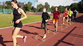 Variantenreiches Training mit Minihürden  Mini Hurdles [upl. by Enimzaj425]