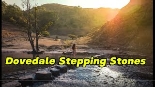 Dovedale stepping stones dovedale peakdistrict travel [upl. by Asilehs]