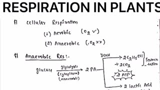 RESPIRATION IN PLANTS NOTESbotanybydrjaswinderkaur [upl. by Aivitnahs685]