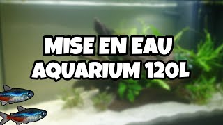 DÉMARRAGE DE MON AQUARIUM 120L [upl. by Rhoda870]