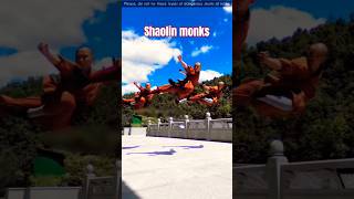 Shaolin Monk ka Powerfull Punch ✊👊 kungfu martialarts shortsfeed [upl. by Huntley]