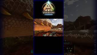 I Forgot You Were There  ARK Scorched Earth Ascended ARKShorts [upl. by Prentice]