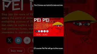 Pei Pei coin goes to the moon [upl. by Edme279]