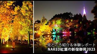 新宿御苑で都会の夜の紅葉イルミネーション「NAKED紅葉の新宿御苑2023」体験レポート Autumn foliage illumination at Shinjuku Gyoen JAPAN [upl. by Schulman444]