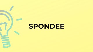 What is the meaning of the word SPONDEE [upl. by Luane]