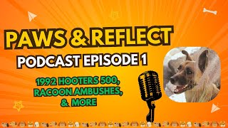 Paws and Reflect Episode 1 [upl. by Diane]