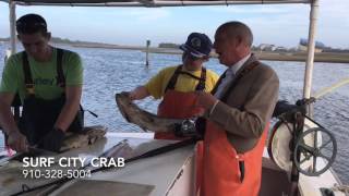 Dolphin Dip Sponsor  Surf City Crab Seafood Market [upl. by Merkley421]