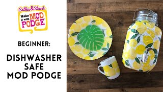 Dishwasher Safe Mod Podge Lemon and Leaf Plates [upl. by Dnomso302]