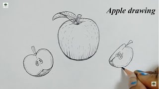 Easy apple sketch and pencil drawing  apple drawing  apple sketch drawing [upl. by Darrick304]