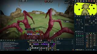 Runescape 3  Reaper Task 36  Araxxi [upl. by Enneirda]