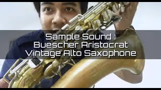 SAMPLE SOUND Buescher Aristocrat Alto Saxophone [upl. by Wyn131]