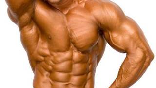 The Best ABDOMINAL TIPS SixPack for Abs [upl. by Nonaihr]