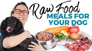 Raw Dog Food Diet [upl. by Burdelle]