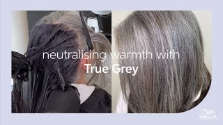 How to Neutralize Warmth In Grey Hair Using True Grey  Wella Professionals [upl. by Hunsinger]