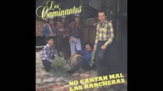 los caminantes las mejores rancheras en un mix  YouTubemp4 [upl. by Maillliw874]