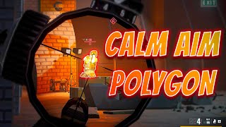 Calm Aim Polygon  Best Low End Online Pc Game [upl. by Dwain574]