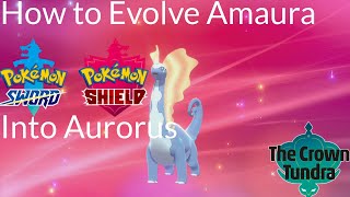 Pokemon Sword and Shield  How to Evolve Amaura Into Aurorus [upl. by Uel]