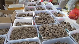 BINH NGHIA AGARWOOD FACTORY [upl. by Yarased]