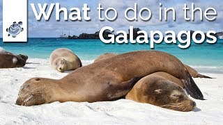 MustDos on Your Galapagos Tour [upl. by Aerdnak]