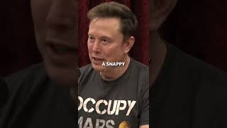 Elon Musk Challenges Media Is Trump the New Hitler [upl. by Laeynad]