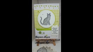 Nine Lives Card Stampin Up [upl. by Ahsieym]