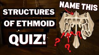 Practice Quiz on Ethmoid Bone Structures [upl. by Aan677]