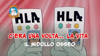 Siamo fatti così la vita 🌱 Il midollo osseo [upl. by Yentiw]