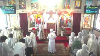 Medhanie Alem Ethiopian Orthodox Tewahedo Church KC Live Stream [upl. by Devina154]