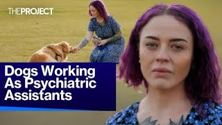 Dogs Working As Psychiatric Assistants [upl. by Had]