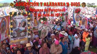 ADORACIÓN Y ALABANZA A DIOS Peregrinas al Tepeyac 17 de Julio de 2018 [upl. by Lleznod]