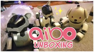 quotjunkquot aibo lot unboxing [upl. by Lattie]