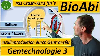 Gentechnik 3  Gentransfer  gentechnische Insulinherstellung materialgestützt  Gentechnologie [upl. by Blancha]