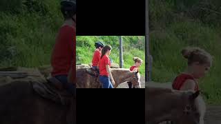 Hippotherapy autism autismacceptance autismfamily horse therapy shorts shortsviral short [upl. by Gregoor]