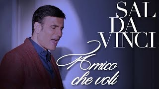 SAL DA VINCI  Amico che voli [upl. by Atiuqehs]