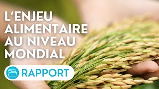 🔴 Présentation dun rapport dinformation sur lenjeu alimentaire au niveau international [upl. by Alma34]