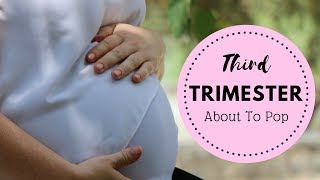 THIRD TRIMESTER UPDATE  About To Pop [upl. by Forsyth]