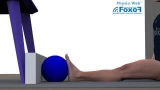 EX050  Exercice  Flexionextension cheville avec balle [upl. by Rooke803]