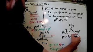 MCAT OC Biomolecules Part 1 [upl. by Sevart940]